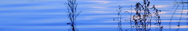 blue water pic cropped